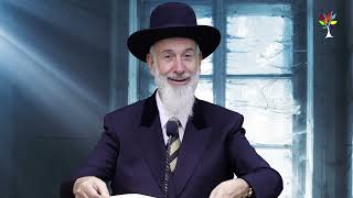 פרשת כי תצא 2025 | הרב יונה מצגר - מדהים! (ארגון ענפים) - התמונה מוצגת ישירות מתוך אתר האינטרנט יוטיוב. זכויות היוצרים בתמונה שייכות ליוצרה. קישור קרדיט למקור התוכן נמצא בתוך דף הסרטון פרשת כי תצא 2025 | הרב יונה מצגר - מדהים! (ארגון ענפים) - התמונה מוצגת ישירות מתוך אתר האינטרנט יוטיוב. זכויות היוצרים בתמונה שייכות ליוצרה. קישור קרדיט למקור התוכן נמצא בתוך דף הסרטון