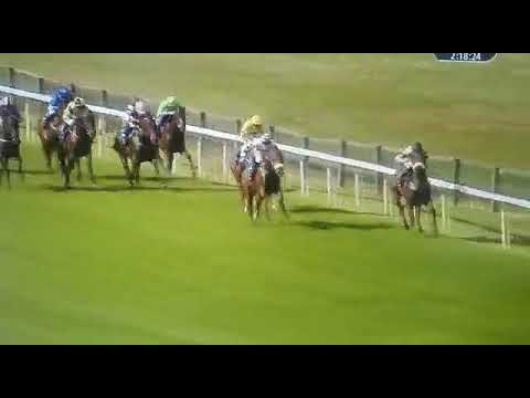 Esken Rose (Hootenanny) - 1° en Pontefract 1.200m