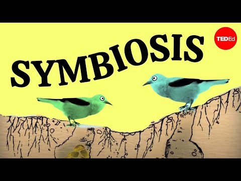 Symbiosis: A surprising tale of species cooperation - David Gonzales