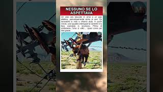 È tornato indietro…