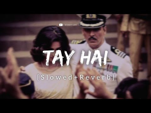 Tay Hai - (slowed+reverb) | Rustom | Ankit Tiwari | Disney lofi music