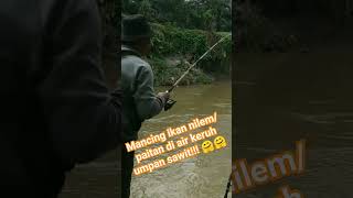 Download lagu mancing ikan nilem/paitan di air keruh umpan sawit!!! mp3