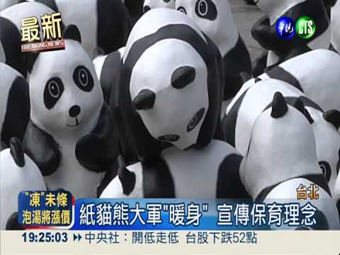紙貓熊出沒 大安森林公園站快閃