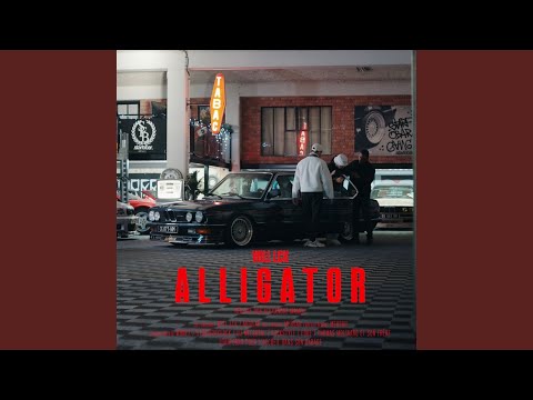 ALLIGATOR