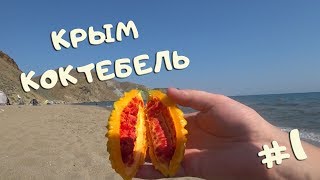 Крым , Коктебель, Тихая бухта, Хамелеон. #1