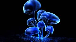 Pussy Marijuana Bass Boosted