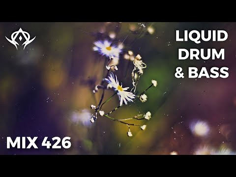 Liquid Drum and Bass Mix 426