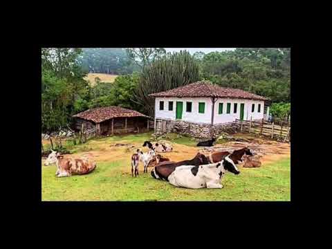 Programa: Caminho da Roça - 23/10/26 - Parte 1 - Apresentação: Paulinho