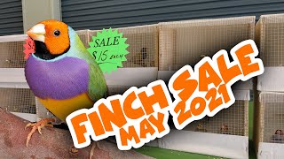Finch Sale May 2021 - Queensland Finch Society