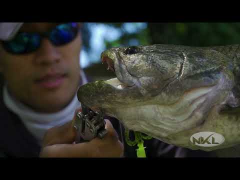 Vídeo Kit Hélice Camalesma 3cm - 5 Unidades