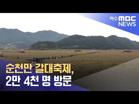 순천만 갈대축제, 2만 4천 명 방문 (241028월/뉴스데스크)