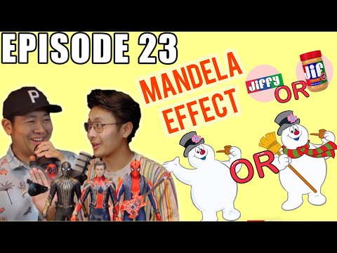 CRAZY MANDELA EFFECTS, WEIRD LAWS, DARK DISNEY THEORY! JUST THE NOBODYS PODCAST EPISODE #23