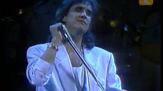 Roberto Carlos, Un Gato En La Oscuridad, Festival de Viña 1989