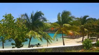 Sweet Jamaica - Tony Rebel. Jamaica 2018