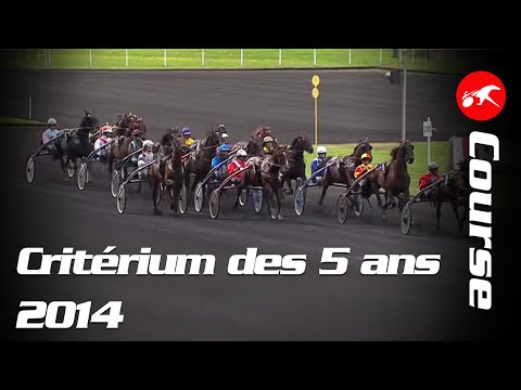 Critérium des 5 Ans 2014 - La course