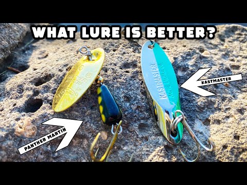 Panther Martin Spinner VS Kastmaster Spoon. TROUT FISHING Showdown!