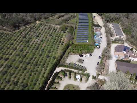 Geheimtipp Italien: Fattoria La Vialla – Ein Paradies für Wohnmobil-Abenteurer