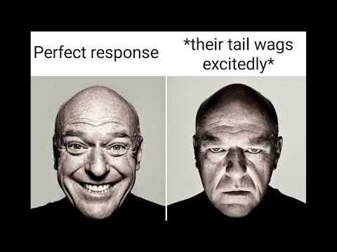 Rcharacterai