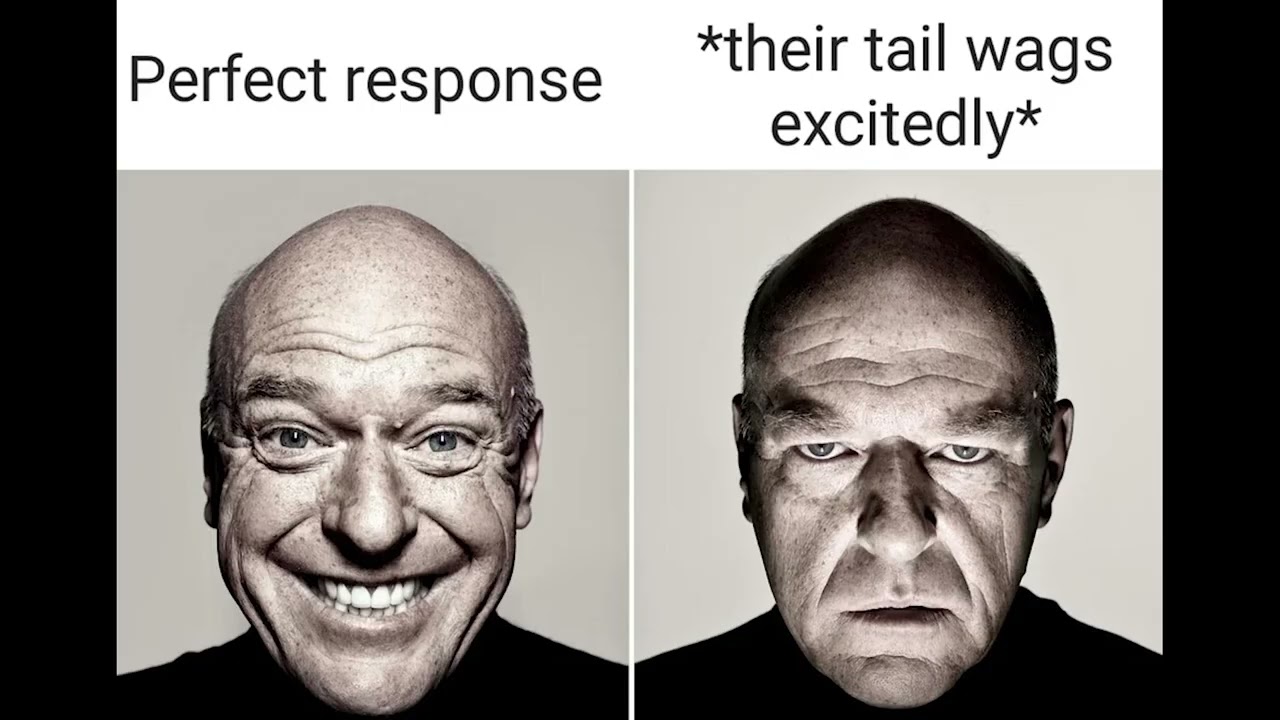 r/character.ai Best Posts