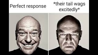 r/character.ai Best Posts
