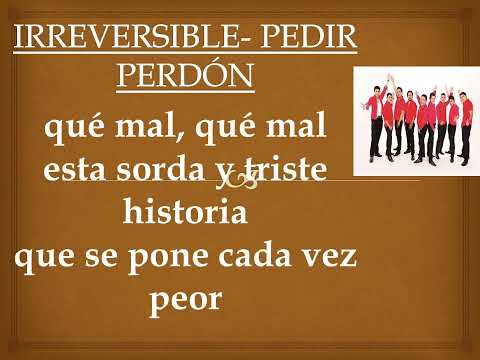 IRREVERSIBLE  PEDIR PERDON KARAOKE