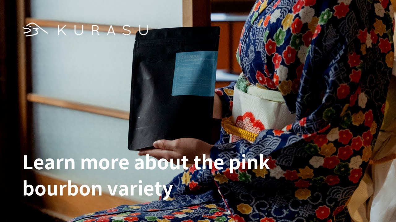 Learn More About the Pink Bourbon Variety | Feat. Premium: Ecuador Leopold Andrade Pink Bourbon