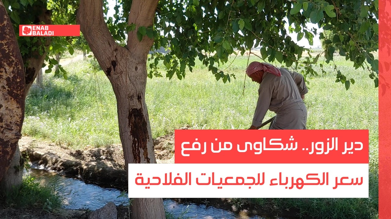 دير الزور.. شكاوى من رفع سعر الكهرباء للجمعيات الفلاحية