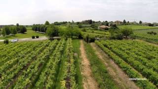 preview picture of video 'I vigneti del Garda'