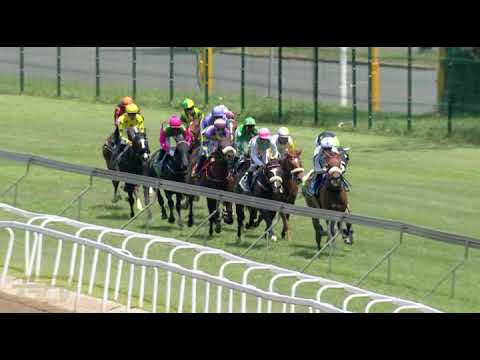 20211128 Hollywoodbets Greyville express clip Race 3 won by PRINCE VIHAAN