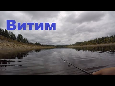 р.Витим. Щука и Ленки с одного места! Поклёвки ,,отдай спиннинг,,