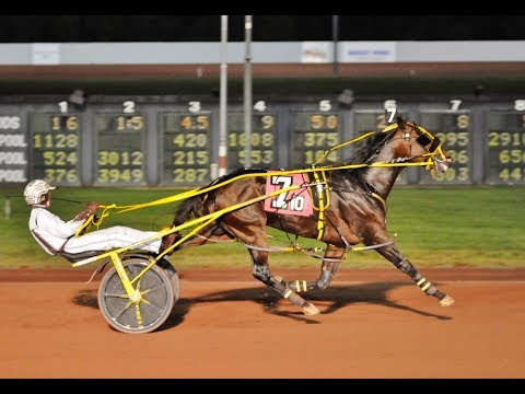 Shake That House - 2019 Max Hempt Memorial - The Downs at Mohegan Sun Pocono