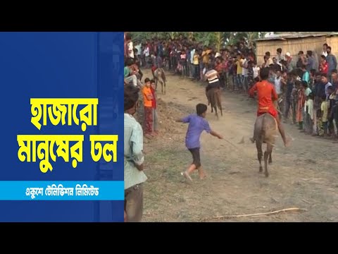 বঙ্গবন্ধুর জন্মবার্ষিকীতে নড়াইলে ঘোড়দৌড় প্রতিযোগিতা