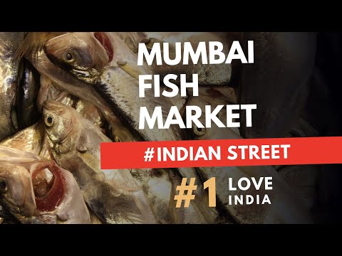 Indian Fish Market | Mumbai street walk #01 |  Walking Tour [4K|UHD]