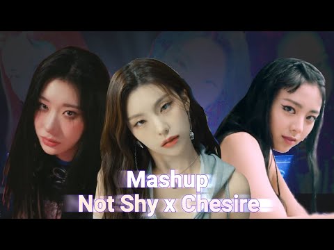 NOT SHY x CHESIRE [ ITZY Mashup ]