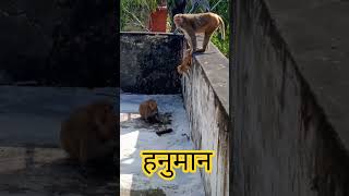 Download lagu #youtubeshorts #ytshorts bokeh full frame asli bokeh full frame asli 1 jam mp3 Download lagu #youtubeshorts #ytshorts bokeh full frame asli bokeh full frame asli 1 jam mp3