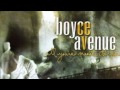 Boyce Avenue - All The While