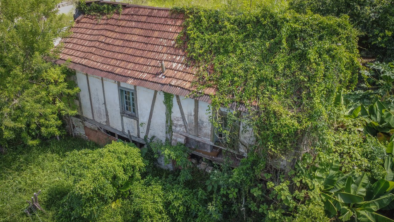 IT WAS VERY DANGEROUS TO GO UP, BUT I WENT ANYWAY. HOUSE FULL OF OLD THINGS!