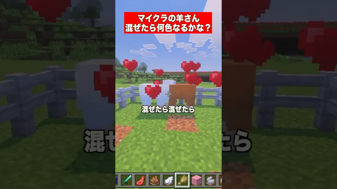 マイクラで混ぜたら何色なるかな？ #マイクラ  #マインクラフト  #minecraft