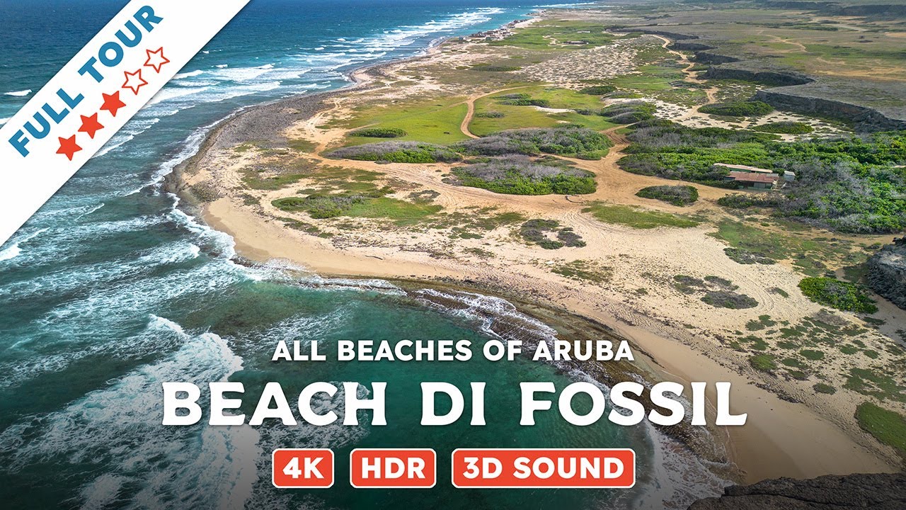 Beach di Fossil