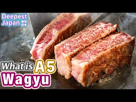 , title : 'Is A5-grade Japanese Wagyu(or Kobe Beef) the most delicious? What is the meaning of A5, B4 or C3?'