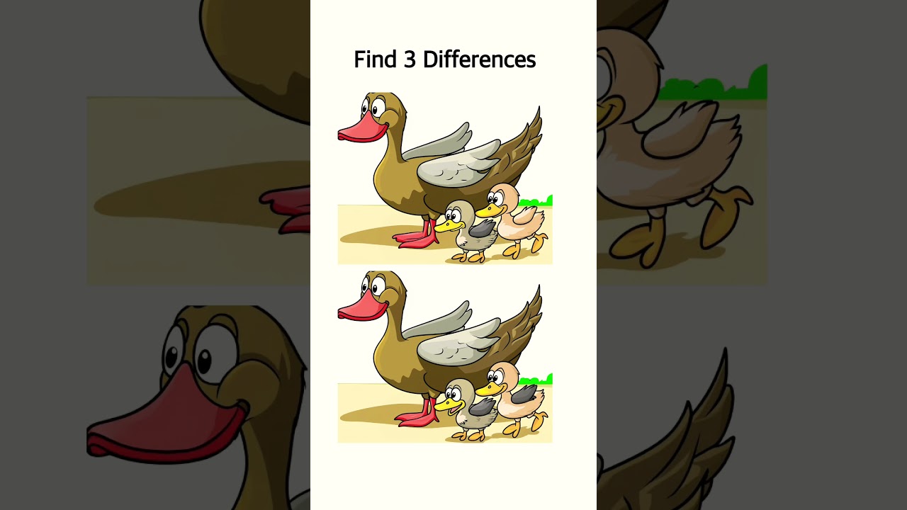 Can you find the hidden differences?
