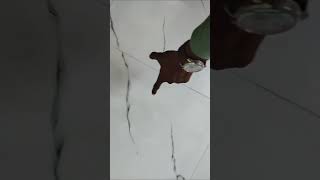 Download lagu Vitrified Tiles🥹lagate time ye galti ho gayi🤯 mp3 Download lagu Vitrified Tiles🥹lagate time ye galti ho gayi🤯 mp3