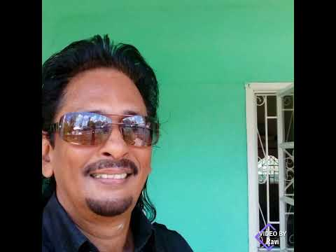 king Birdie - Love Sick