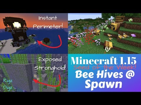 Rigz Digz - Minecraft 1.15 Seed: Bee Hives and HUGE Flower Forest at Spawn, Instant Perimeter Pillager Outpost!