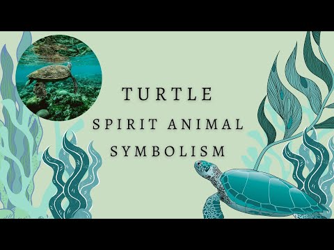 Why You Keep Seeing Turtles 🐢 | Turtle Spirit Animal Symbolism