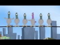 Sesame Street Song 9 Pigeons