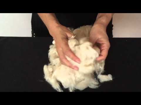 Kapok fiber explained