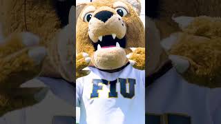 FIU Chapman x Real Madrid Graduate School:  A Winning Partnership 🏆⚽- Roary Approves 😎🐾
