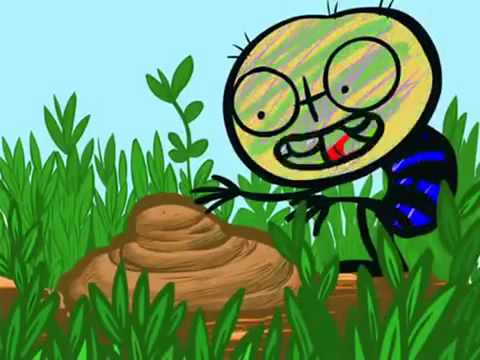 Avez-Vous Déjà Vu ? Toto Qui Explique la Vie des Mouches ?