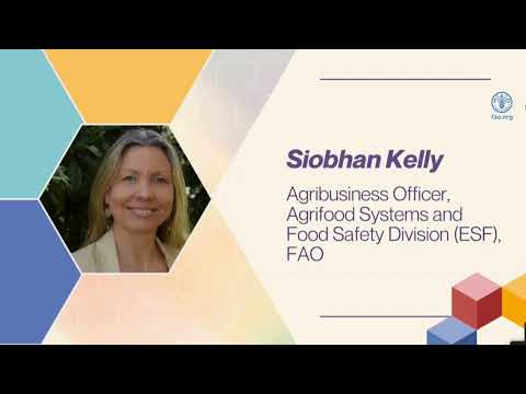 FAO Event|A Systems Approach to Achieving Food Security for All